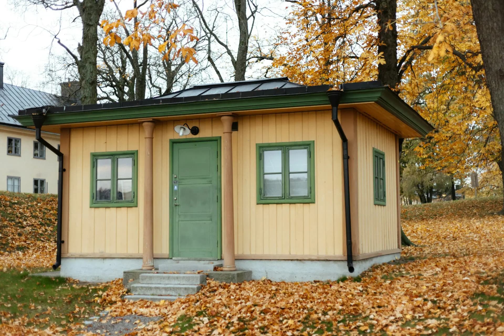 Small wood-sided backyard cottage with a green door
