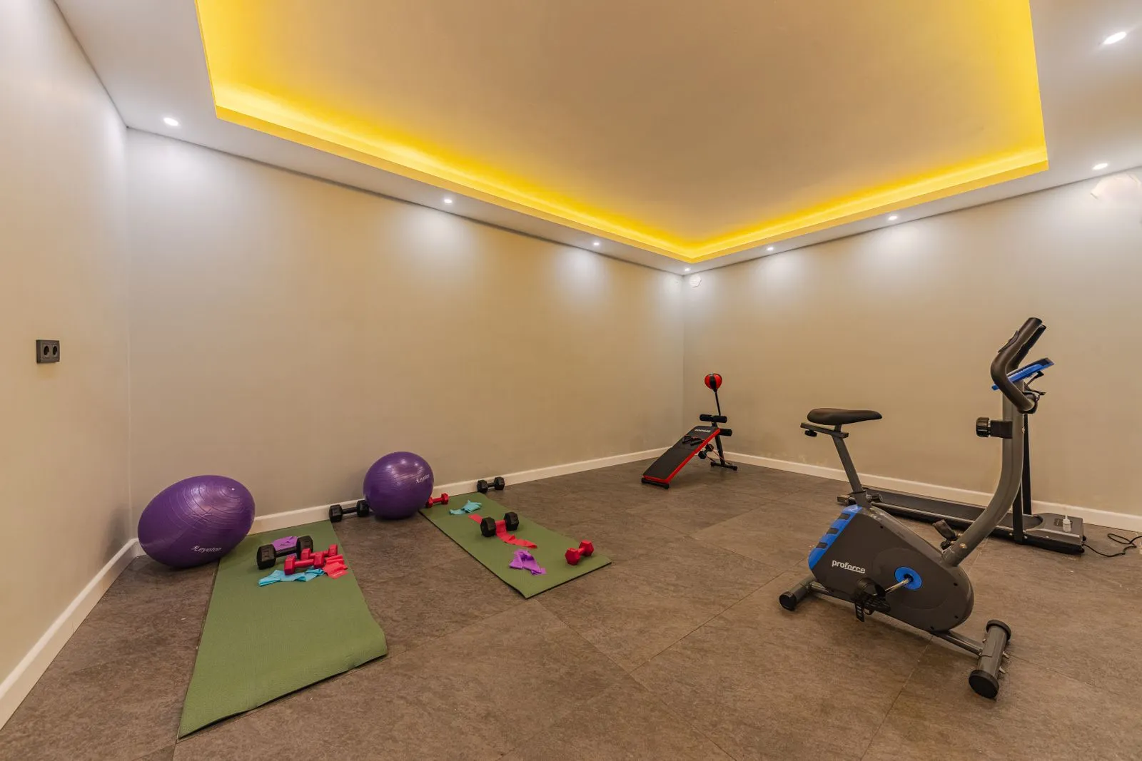 Enclosed home gym with exercise bike and floor mats