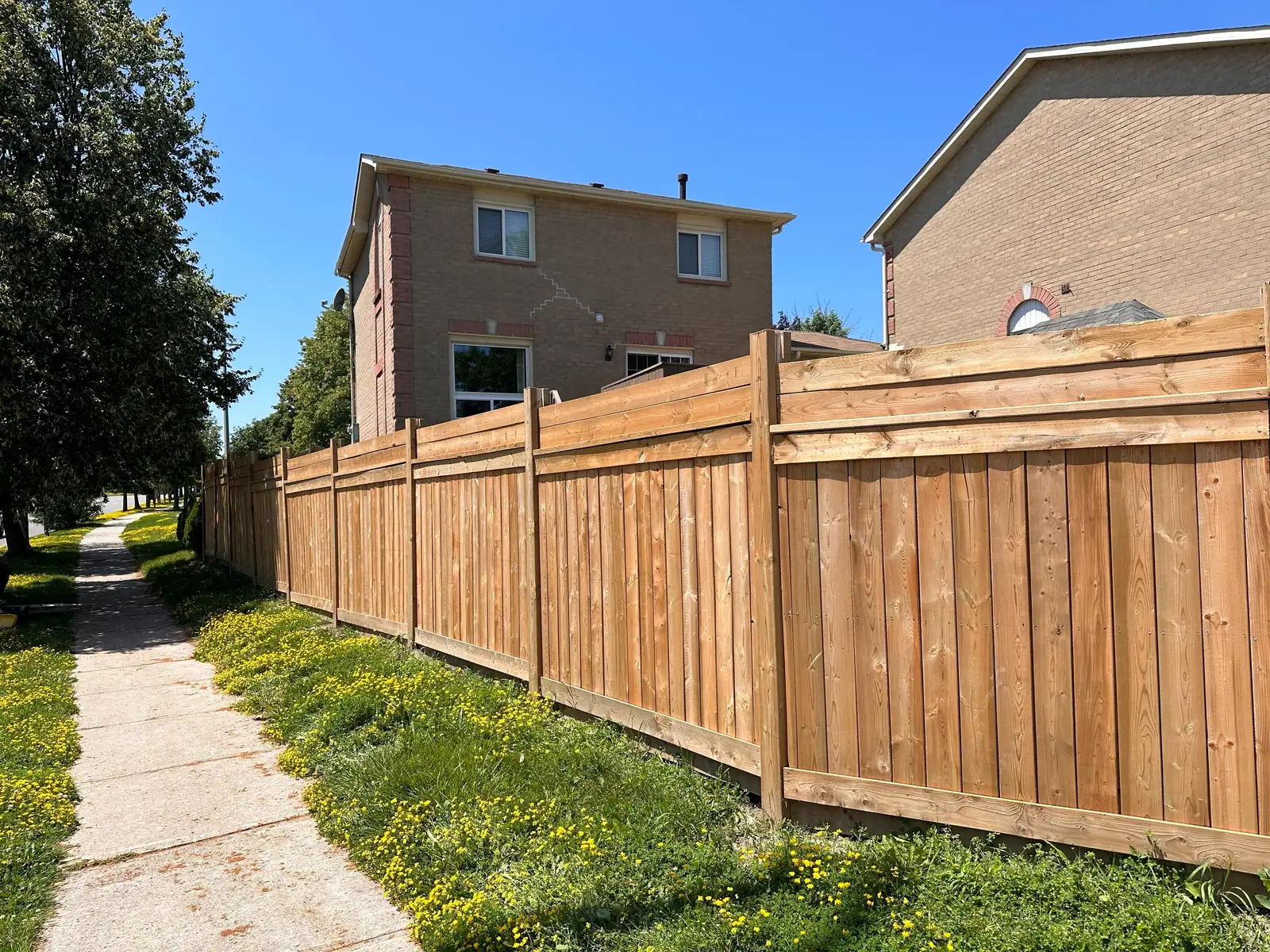 Long board fence beside a sidewalk